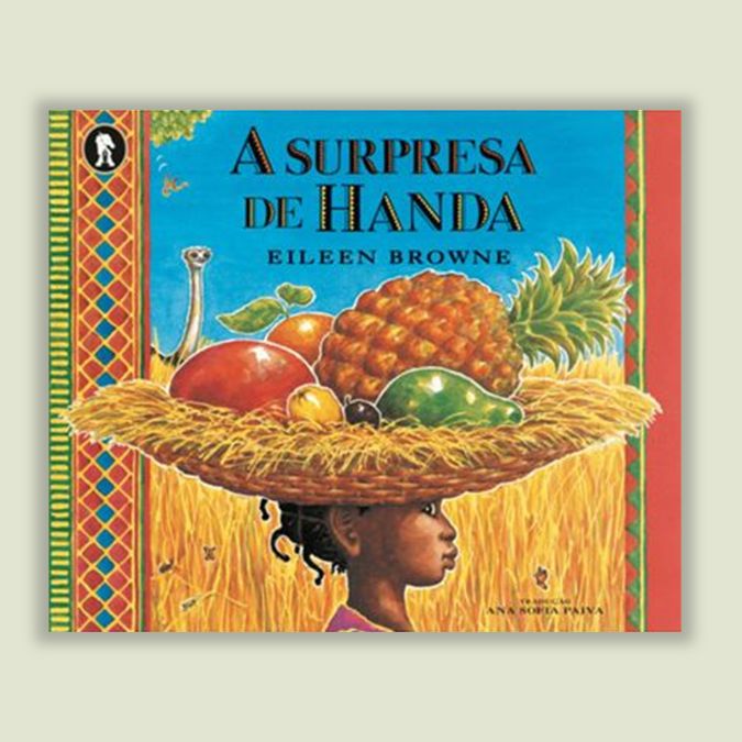 capa do livro